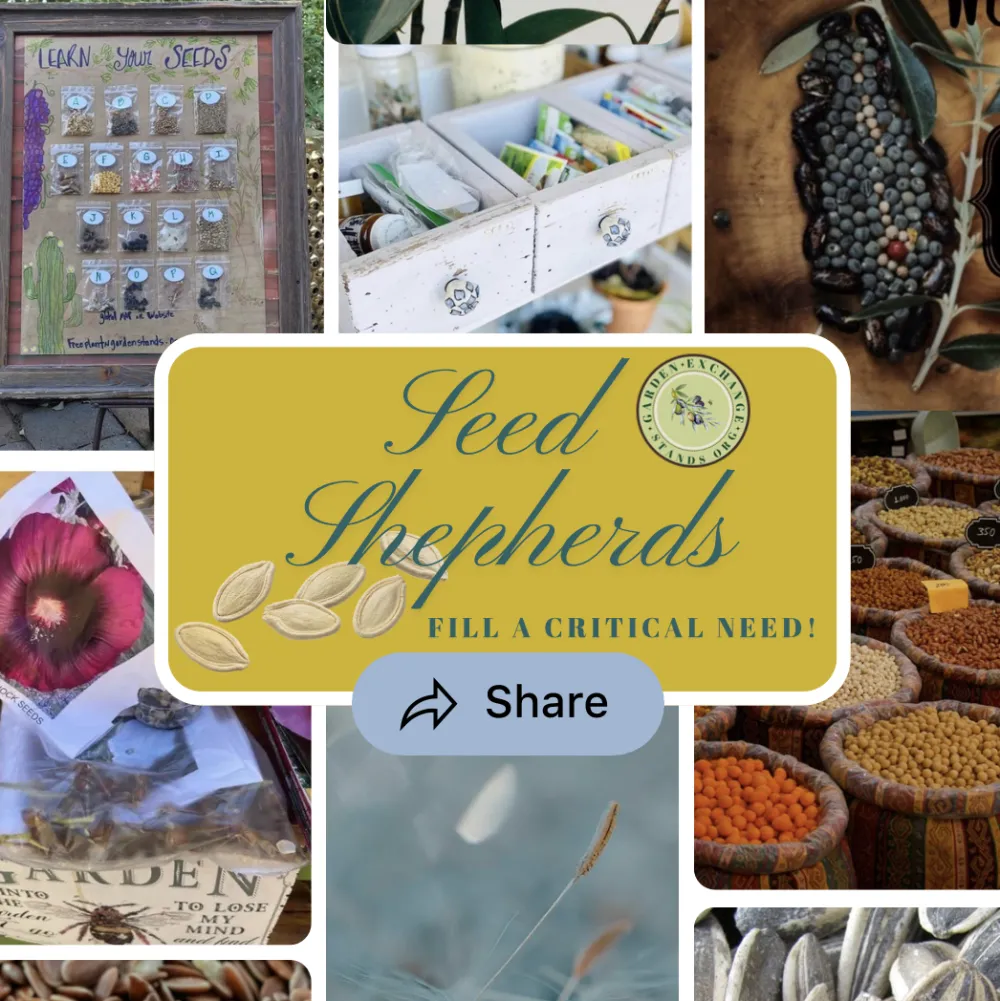 Becoming a Seed Shepherd